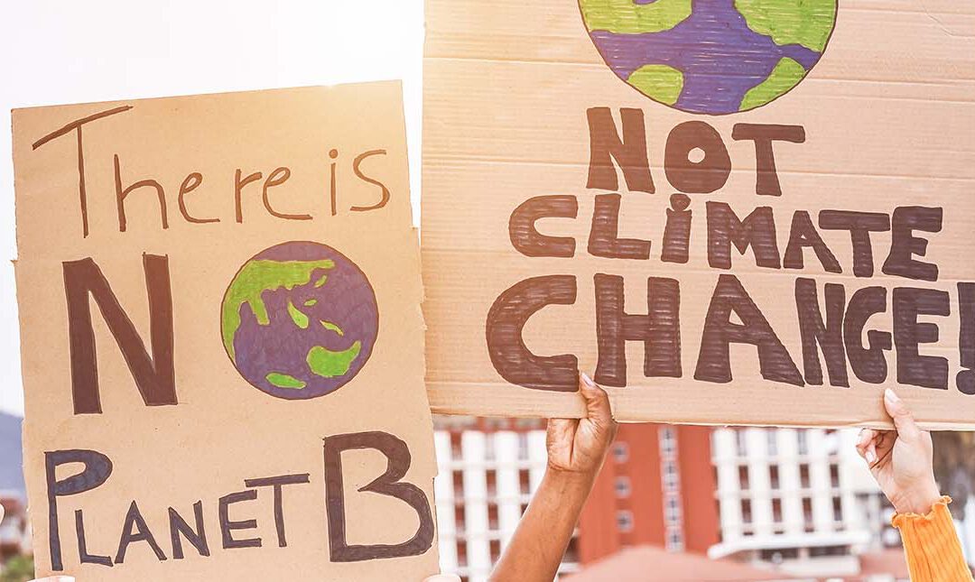 People holding signs at a protest