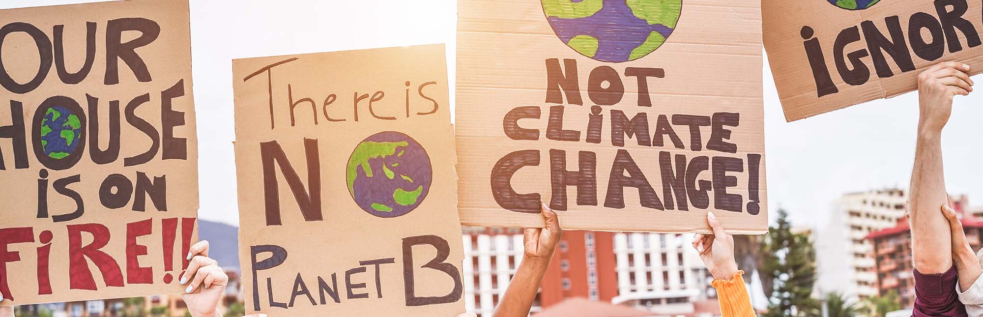 People holding signs at a protest