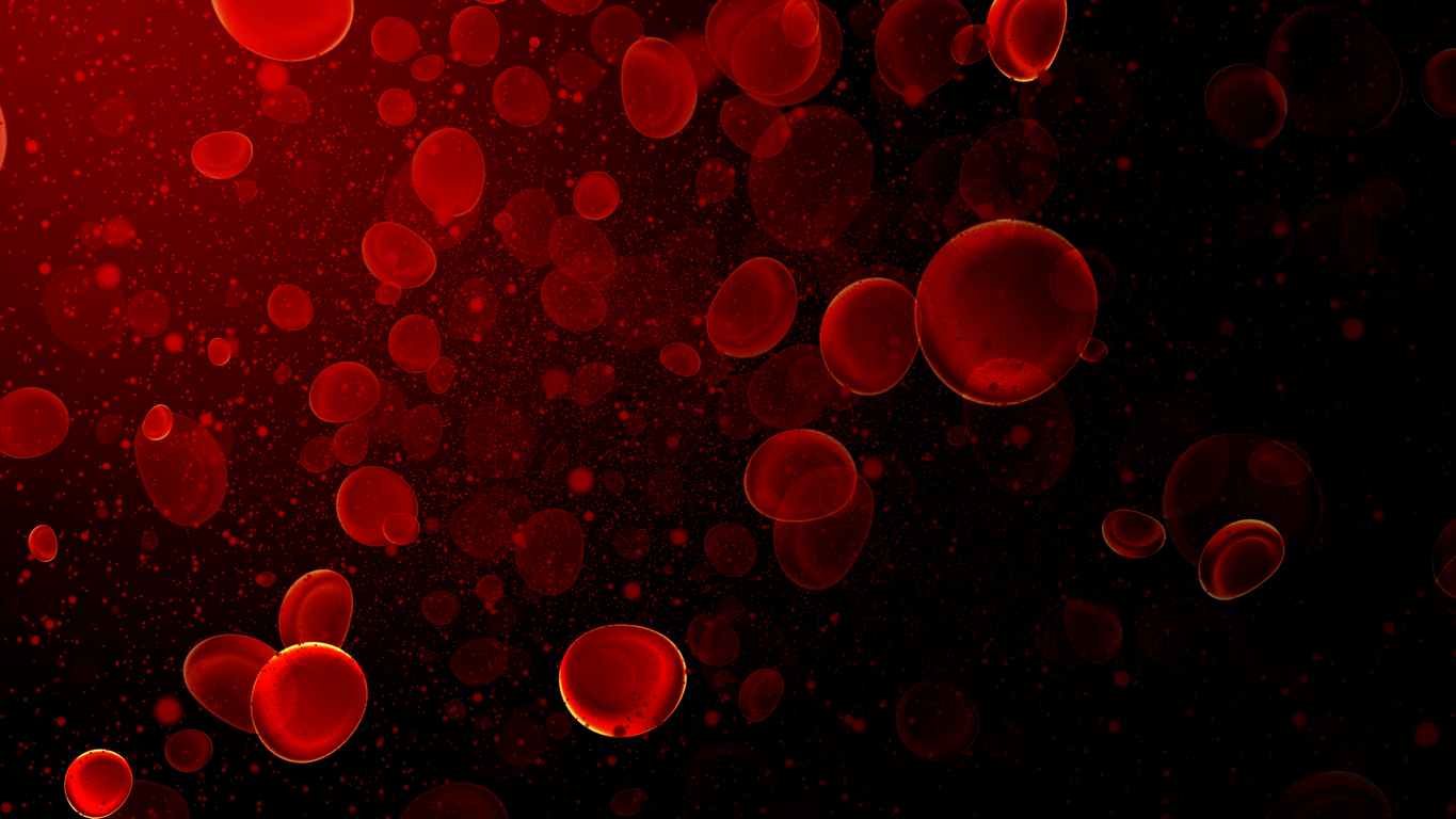 Microplastics Found In Human Blood Ocean Connect
