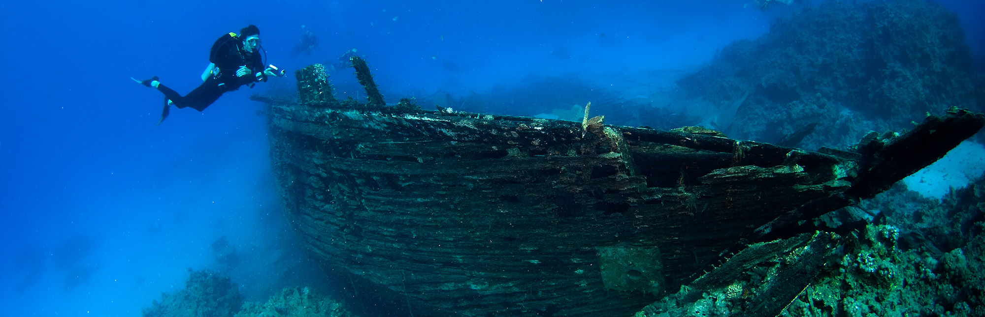 Diver with a shipwreck