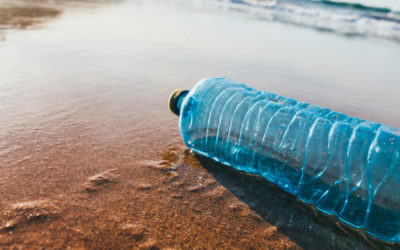 Featured Connection: Marine Conservation