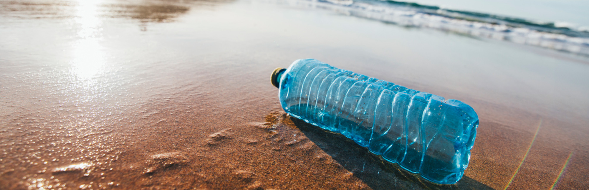 Plastic bottle washed up on a beach