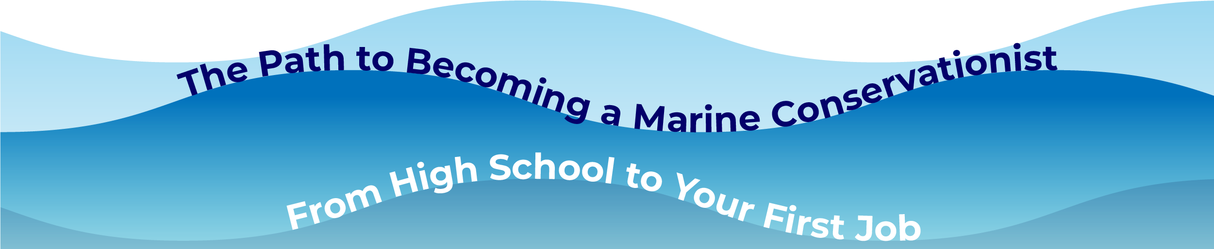 ocean_connect_design_science-05 The path to becoming a Marine Conservationist