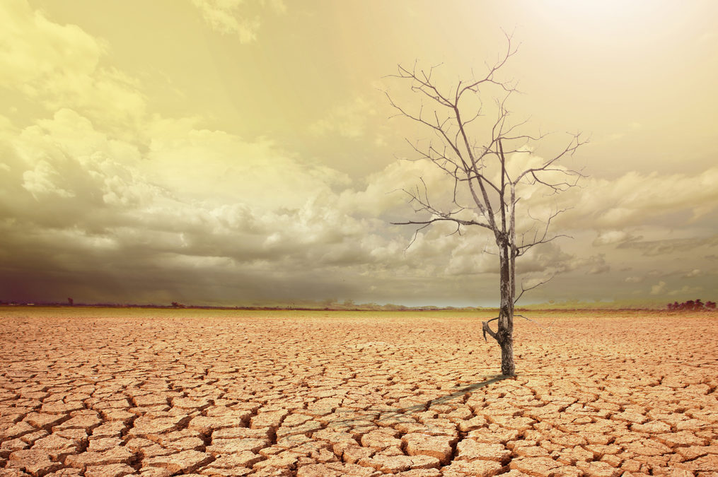 The State of the Global Climate 2021