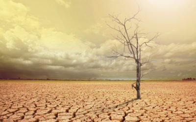 The State of the Global Climate 2021