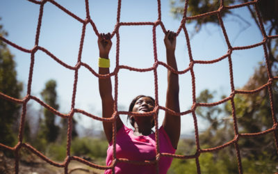 Facing A Hostile Obstacle Course