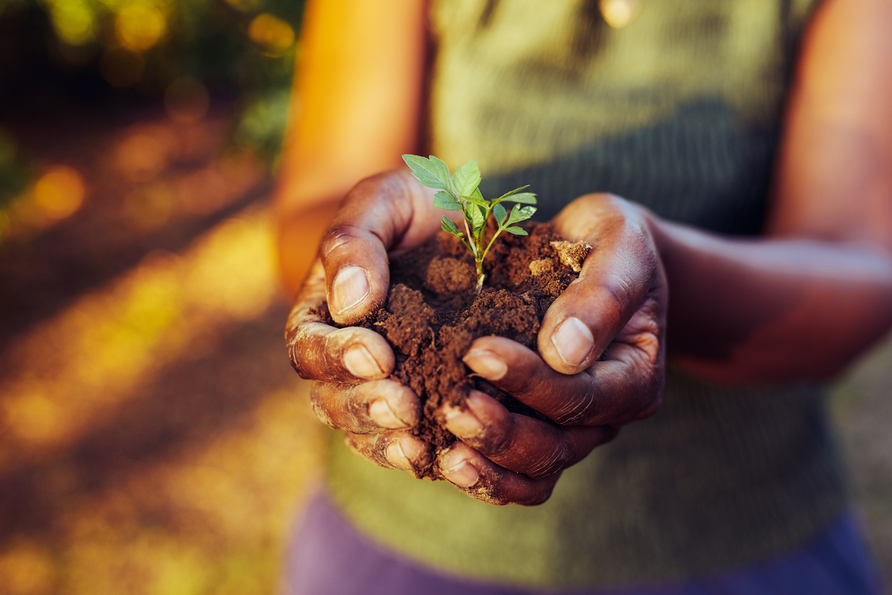 Conservation Careers Ocean Connect