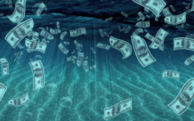 The Blue Economy