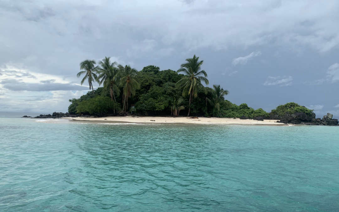 Panama Achieves 50% Ocean Protection with Expanded Marine Protected Area