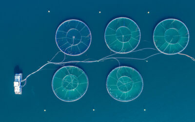 Featured Connection: The Science of Aquaculture