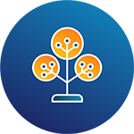 Plant taxonomy icon