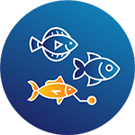 Fish Identification icon