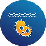 Aquatic Organisms icon