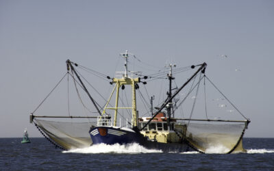 EU Committee Votes in Favor of Increased Fisheries Regulation