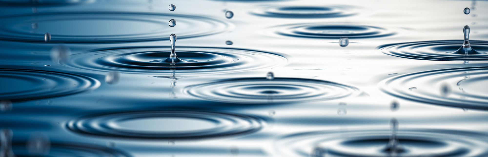 Water drops on a pond