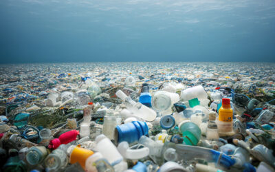 Sustainable Products from Ocean Plastic