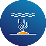 Coral reefs icon