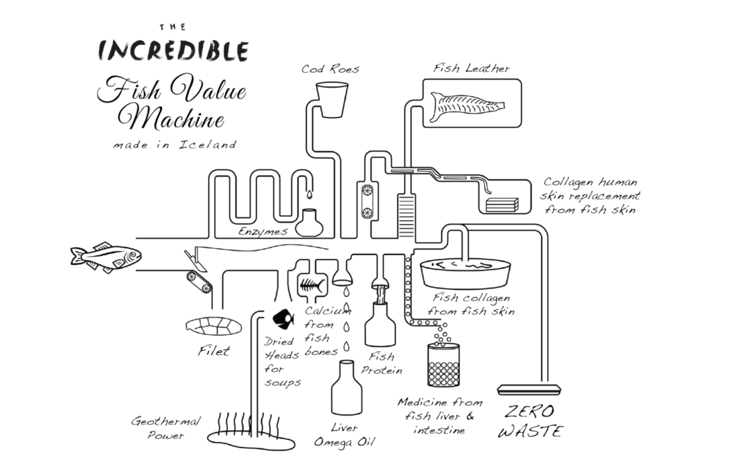 The Incredible Fish Value Machine