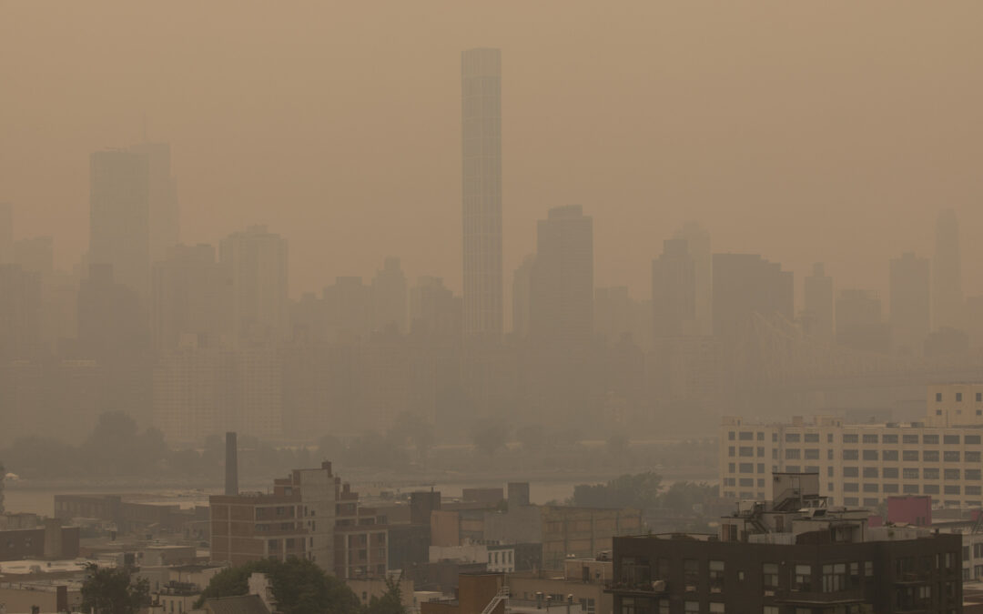 New York Pollution Burdens Communities of Color Most