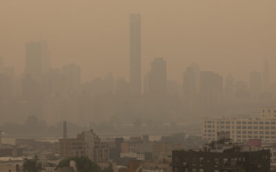 New York Pollution Burdens Communities of Color Most